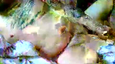 lucky134u online show from 6, 4, 2026