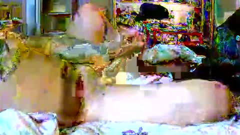 lucky134u online show from 9, 4, 2026