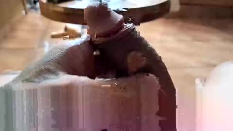 lucky_og24 online show from 27, 12, 2024