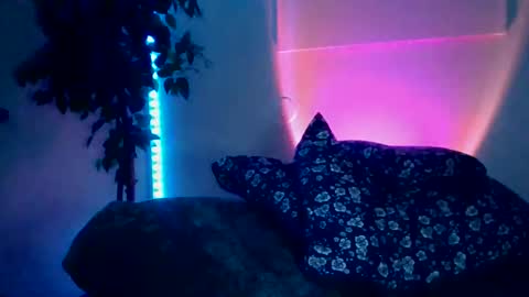 luisjg24hrs online show from 18, 5, 2026