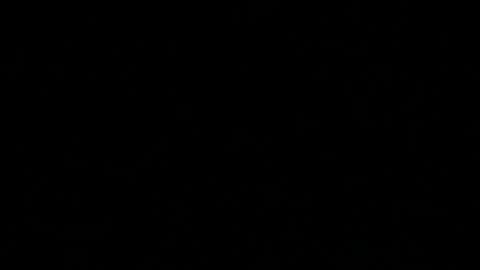 Skaluk online show from 12, 4, 2026