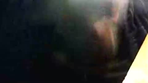 lukestarfckr online show from 15, 2, 2026