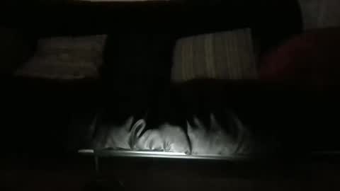 lukusdukus online show from 11, 10, 2025