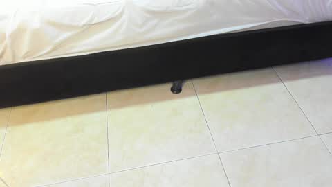 Snapshot of lulu_kawai chatting on 10, 2, 2026 lulu online show from 10, 2, 2026