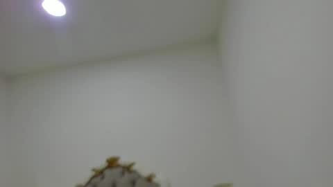 luna forever7 online show from 14, 4, 2026