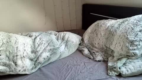 Luna  powered by bitch dust online show from 20, 12, 2024