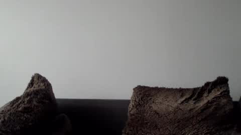 Snapshot of lupine_666 chatting on 5, 1, 2025 Lupine online show from 5, 1, 2025