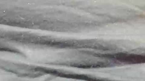 Snapshot of lustgardener67 chatting on 9, 1, 2025 lustgardener67 online show from 9, 1, 2025