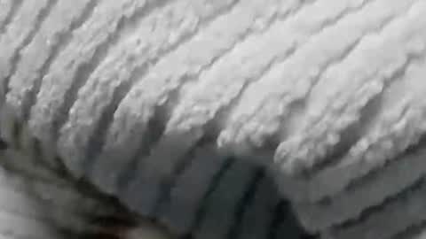 Snapshot of lustgardener67 chatting on 19, 1, 2025 lustgardener67 online show from 19, 1, 2025