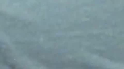 Snapshot of lustgardener67 chatting on 27, 1, 2025 lustgardener67 online show from 27, 1, 2025