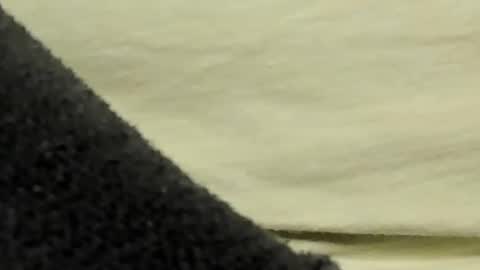 Snapshot of lustgardener67 chatting on 27, 1, 2025 lustgardener67 online show from 27, 1, 2025