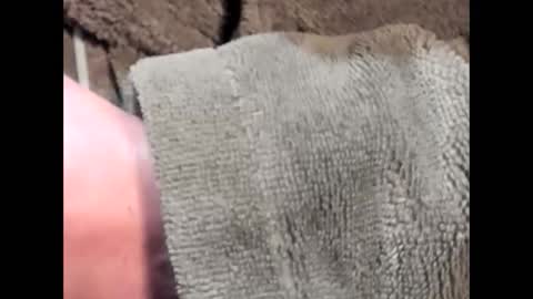 Snapshot of lustgardener67 chatting on 4, 3, 2025 lustgardener67 online show from 4, 3, 2025