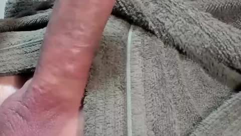 Snapshot of lustgardener67 chatting on 3, 2, 2026 lustgardener67 online show from 3, 2, 2026