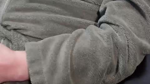 Snapshot of lustgardener67 chatting on 1, 3, 2026 lustgardener67 online show from 1, 3, 2026