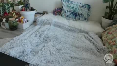 Snapshot of lustlnbalancevh chatting on 19, 1, 2026 lustlnbalancevh online show from 19, 1, 2026