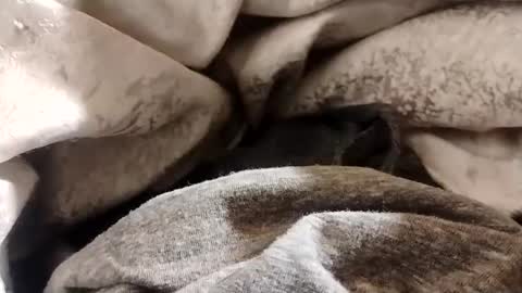 Lvac11 online show from 22, 1, 2025