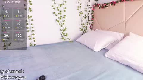 Lyly   online show from 2, 12, 2025