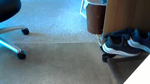 Snapshot of lynne_cd_nj chatting on 1, 10, 2025 lynne_cd_nj online show from 1, 10, 2025