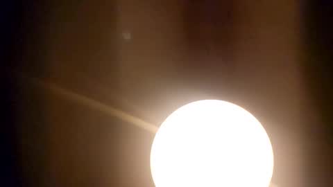 Fucklover online show from 2, 2, 2025