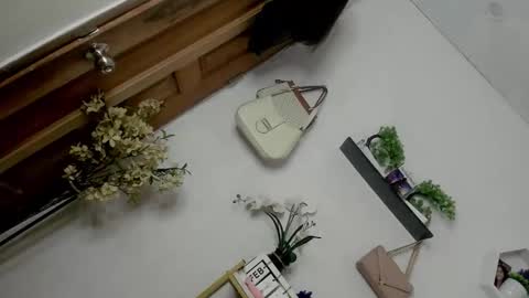 Snapshot of m1ssjanelana69 chatting on 13, 2, 2026 Janelovesu online show from 13, 2, 2026