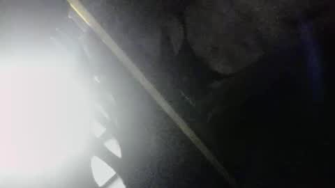 SLoppYxXPeeHoLeXxGspotxX online show from 3, 4, 2026