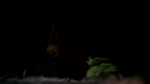 Snapshot of m8437769 chatting on 22, 10, 2025 m8437769 online show from 22, 10, 2025