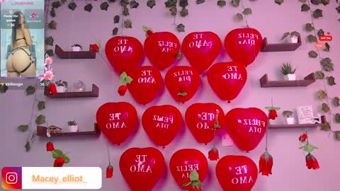 Macey Elliot Modelo Independiente online show from 15, 2, 2025