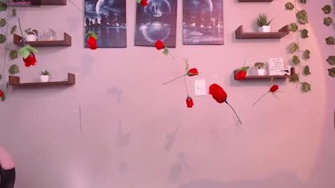 Macey Elliot Modelo Independiente online show from 1, 3, 2025