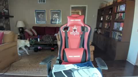 machinecumkelly69 online show from 25, 2, 2025