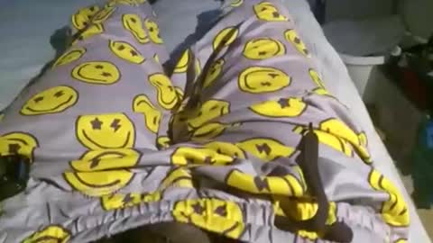 Snapshot of mactavishdavis83 chatting on 30, 10, 2025 KingDingALingPattiPhatty online show from 30, 10, 2025