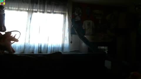 Manuel online show from 5, 3, 2025