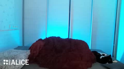 Snapshot of madalicexxx chatting on 2, 11, 2025 Alice online show from 2, 11, 2025