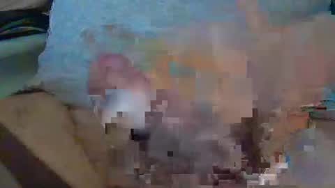 Max online show from 16, 12, 2025