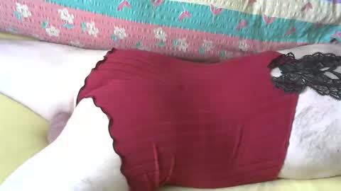 maestro2017 online show from 11, 4, 2026