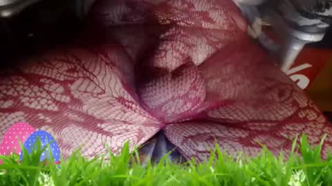 maestro2017 online show from 12, 4, 2026