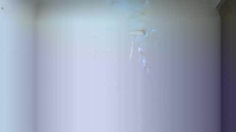 BRAYAN online show from 16, 3, 2026