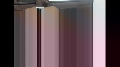 maheel84 online show from 11, 1, 2026