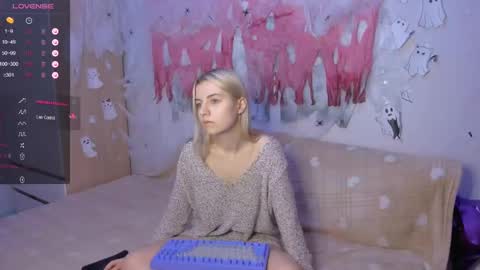 Your kitty online show from 14, 12, 2024