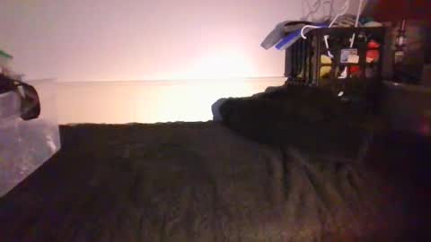 CommandbondageNipples bondage kink submissive lovense slave wgear. modequiethvyBondage If Password goldfish online show from 17, 1, 2026