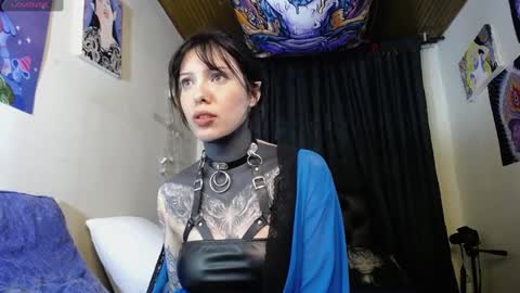 Snapshot of maliceinwonderland25 chatting on 19, 12, 2024 Alice Asylum online show from 19, 12, 2024