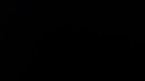 Snapshot of maliceinwonderland25 chatting on 2, 11, 2025 Alice Asylum online show from 2, 11, 2025