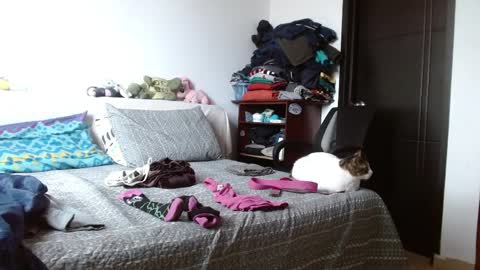 Malita online show from 6, 4, 2026