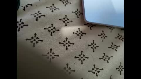 Snapshot of mallik63040 chatting on 8, 2, 2025 Sree0703 online show from 8, 2, 2025