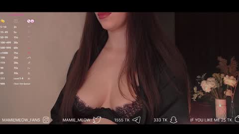 Snapshot of mamiemeow chatting on 30, 1, 2025 Your Miss Alice online show from 30, 1, 2025