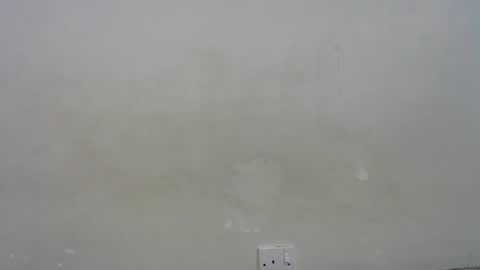 mamuuu_ online show from 10, 1, 2026