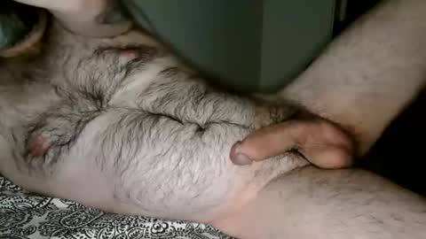 Man Dime Bear17 online show from 27, 12, 2024