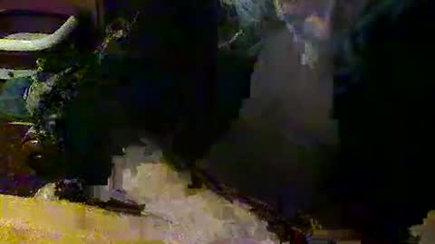 Snapshot of mangochurro chatting on 30, 4, 2026 mangochurro online show from 30, 4, 2026