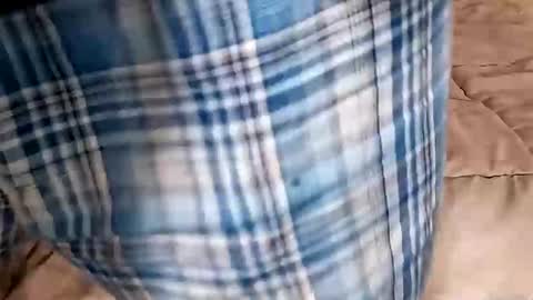 Dickinabox online show from 14, 9, 2025