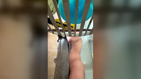 manny764065 online show from 7, 2, 2026