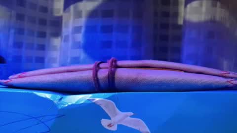 Snapshot of mansturbate_22 chatting on 20, 11, 2025 Daniel toyboy 97 online show from 20, 11, 2025